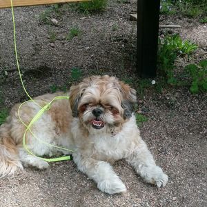 Meet your Posher, Colleen